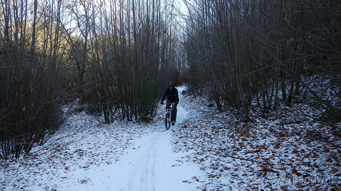 DSCN0070.jpg