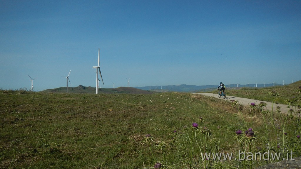 DSCN9188.JPG - In MTB tra le "montagne Verdi"