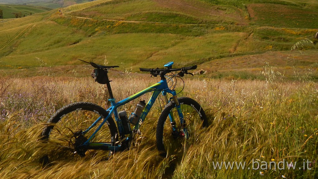 DSCN9191.JPG - In MTB tra le "montagne Verdi"