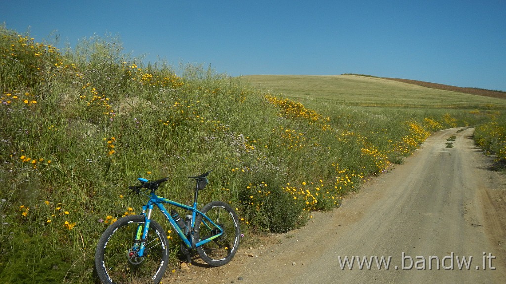 DSCN9194.JPG - In MTB tra le "montagne Verdi"