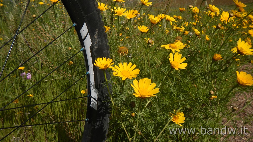 DSCN9200.JPG - In MTB tra le "montagne Verdi"