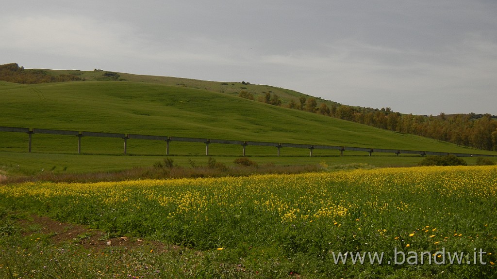 DSCN9213.JPG - In MTB tra le "montagne Verdi"