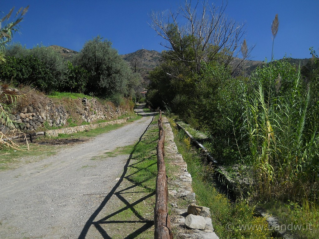 DSCN7571.JPG - ................
