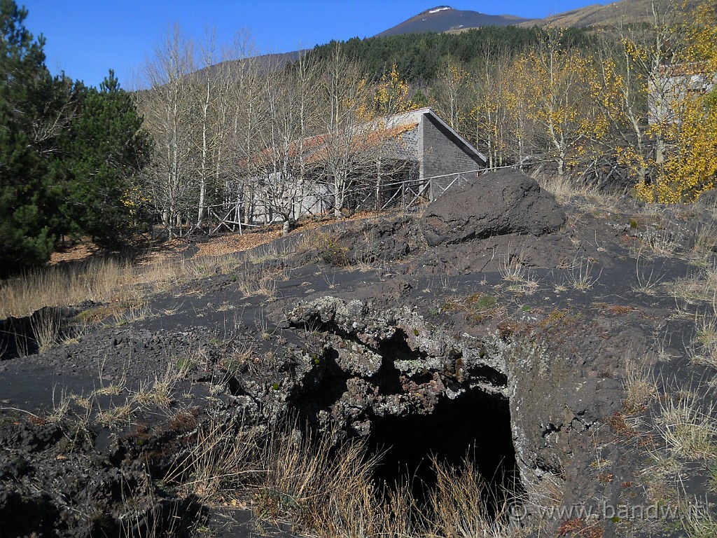 DSCN2618.JPG - Dopo aver lasciato la zona di Monte Zoccolaro, faccio asfalto e dirigo per Case del Vescovo (della forestale), qui mi fermo a visitare un ingrottamento lavico ...