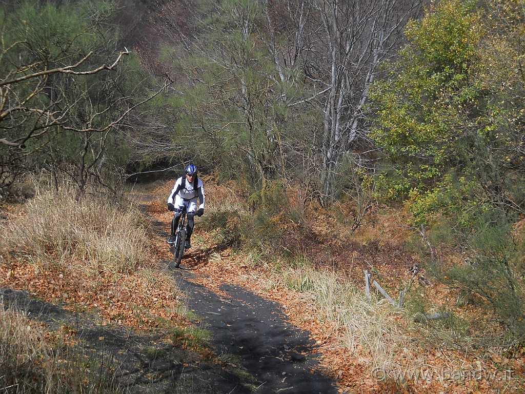 DSCN2623.JPG - Dopo aver provato ad imboccare il sentiero da Trekking che porta al Vallone dell'Acqua Rocca degli Zappini, capisco che non è pedalabile e riscendo giù......