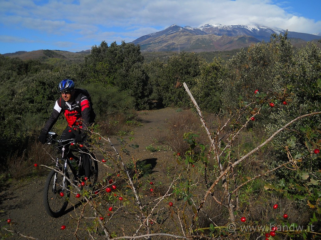 DSCN2201.JPG - Composizioni colorate dell'Etna