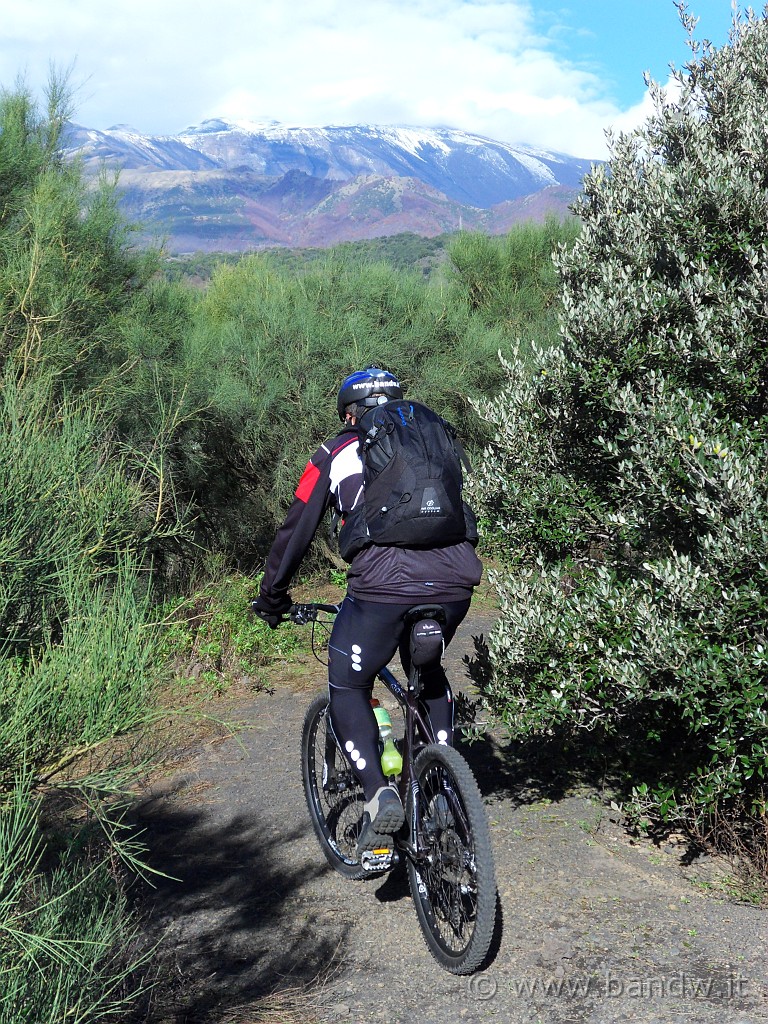 SDC10133.JPG - Pedalando sul Monte ILICE