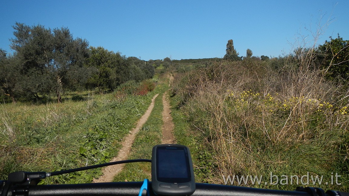 DSCN4353.JPG - Monti Climiti-Ippodromo-Penisola di Magnisi