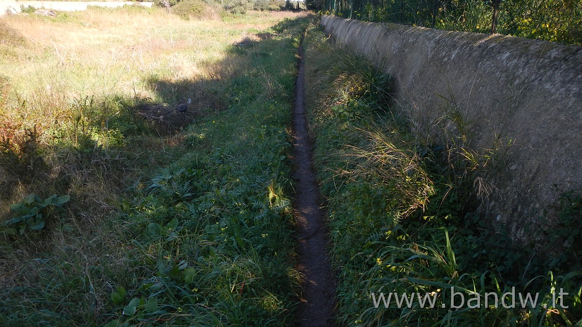 DSCN4360.JPG - Monti Climiti-Ippodromo-Penisola di Magnisi