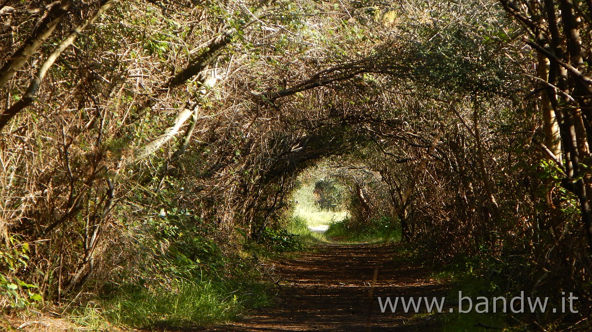 DSCN4407.JPG - Monti Climiti-Ippodromo-Penisola di Magnisi