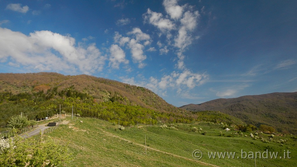 DSCN8866.JPG - Il bosco Semantile davanti a me