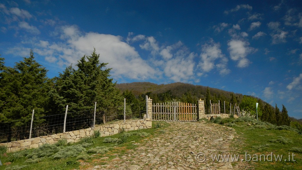 DSCN8868.JPG - L'ingresso del bosco