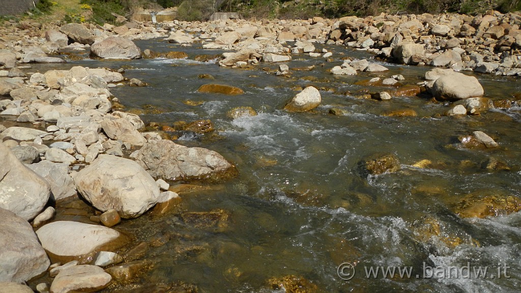 DSCN8871.JPG - Torrente Martello