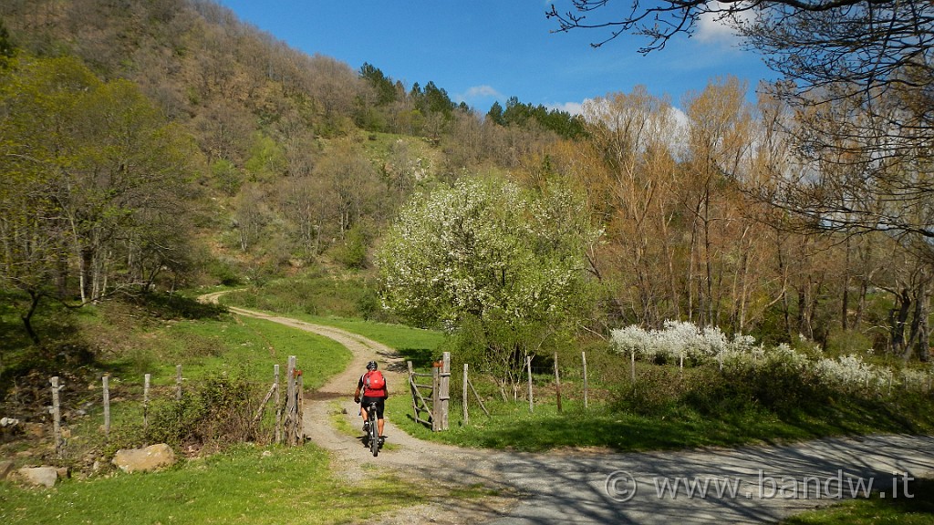 DSCN8882.JPG - Incrocio a quattro vie