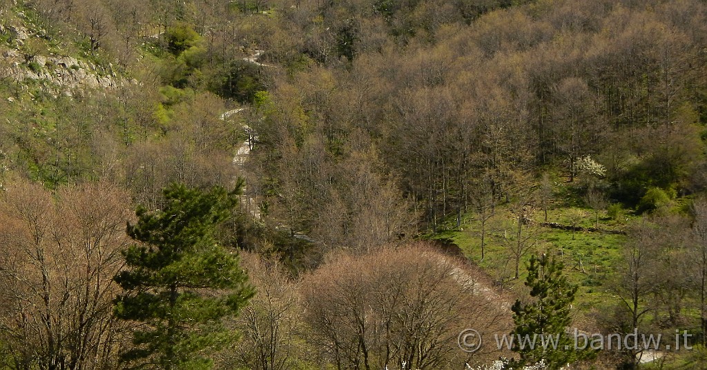 DSCN8883.JPG - Caspita, qui sarà dura