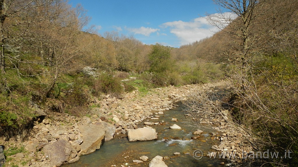 DSCN8888.JPG - Torrente Barillà