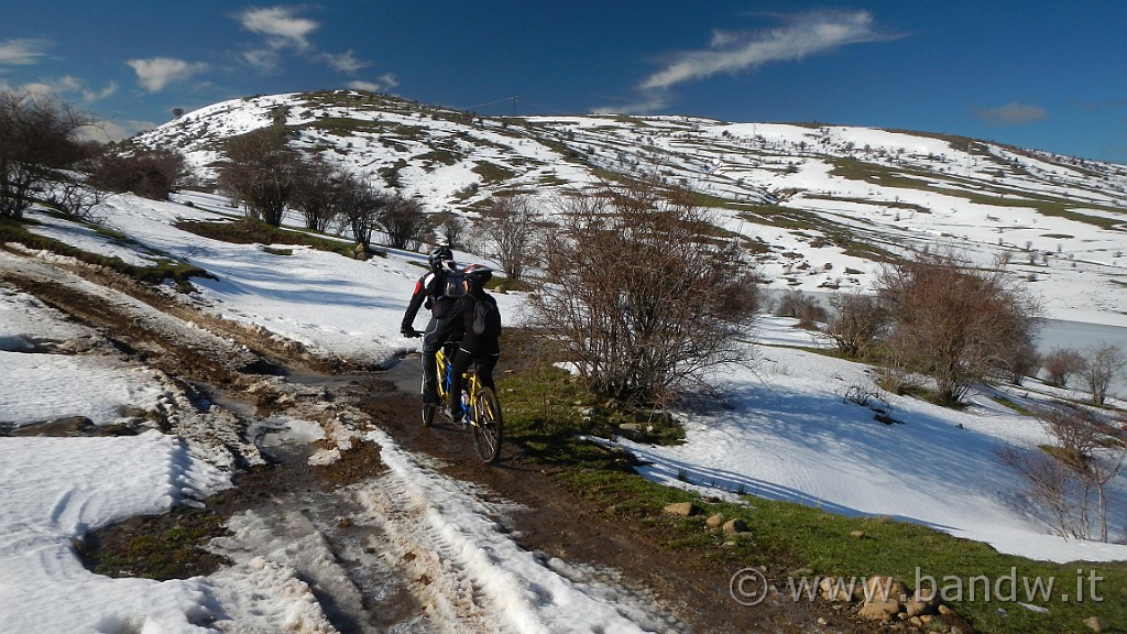 DSCN6629.jpg