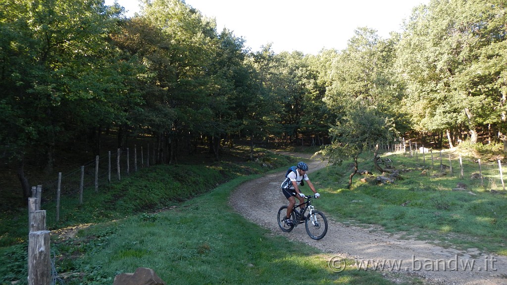 DSCN9777.jpg