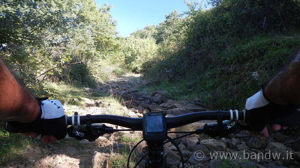 DSCN9785.jpg