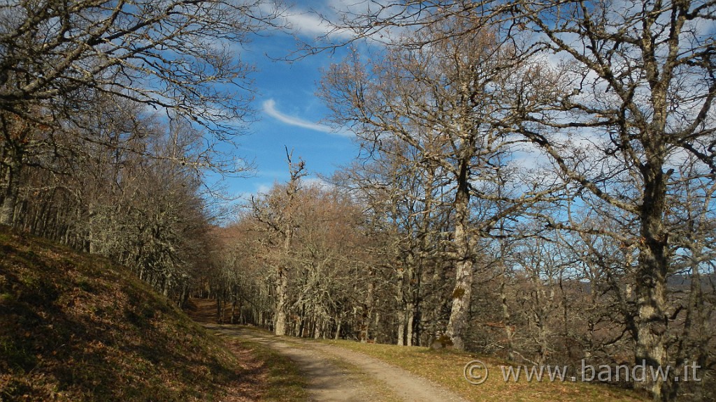 DSCN6982.JPG - Sterrati nei pressi dell'Area attrezzata Tre Arie