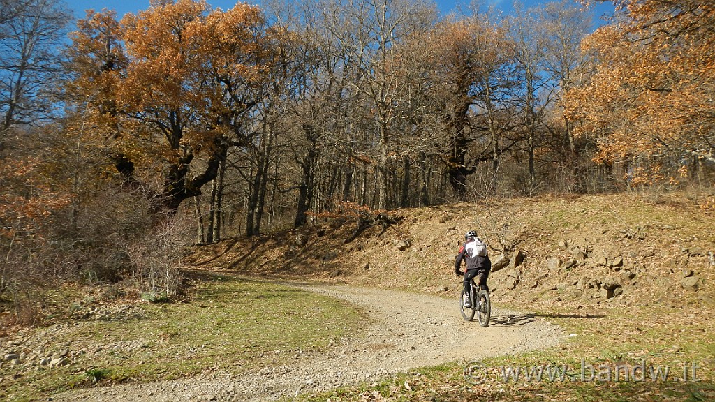 DSCN6983.JPG - Sterrati nei pressi dell'Area attrezzata Tre Arie