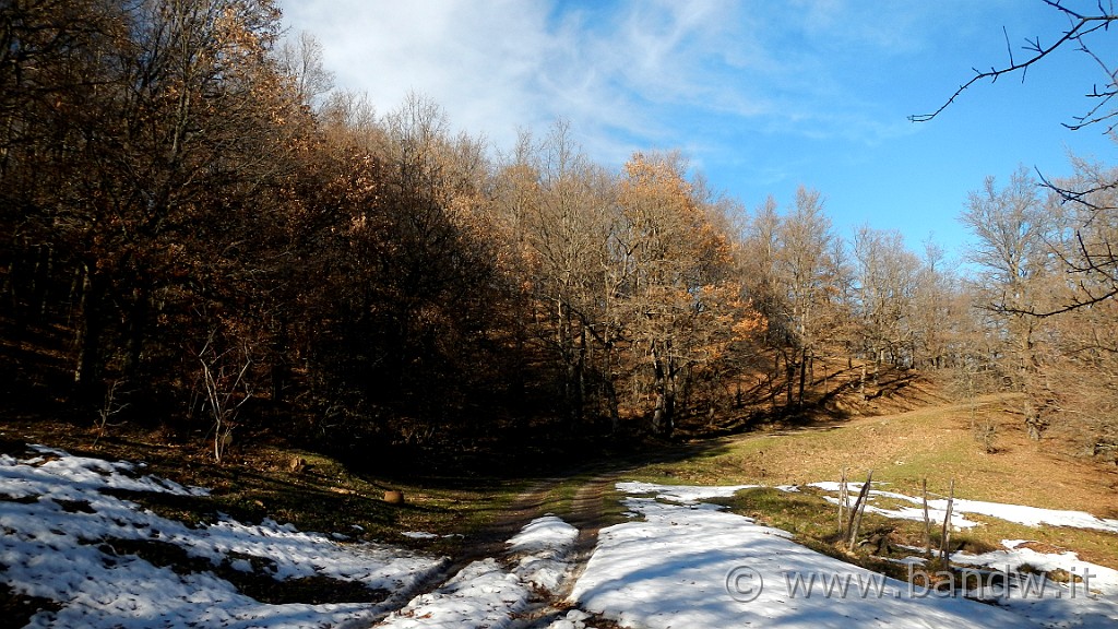 DSCN6990.JPG - Sterrati nei pressi dell'Area attrezzata Tre Arie