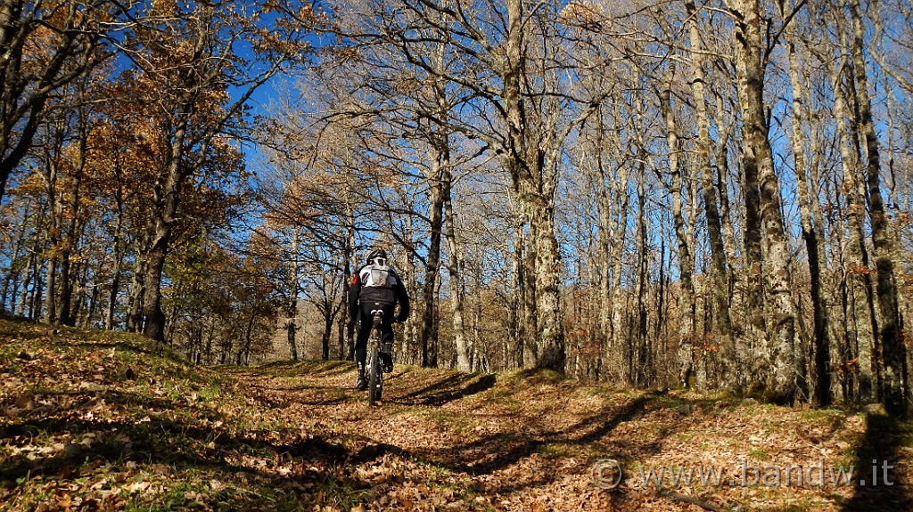 DSCN6996.JPG - Sterrati nei pressi dell'Area attrezzata Tre Arie