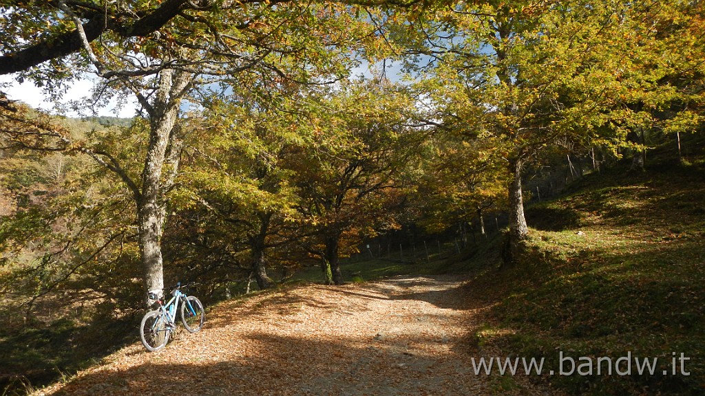 DSCN4138.JPG - Nebrodi - Exploring d'autunno