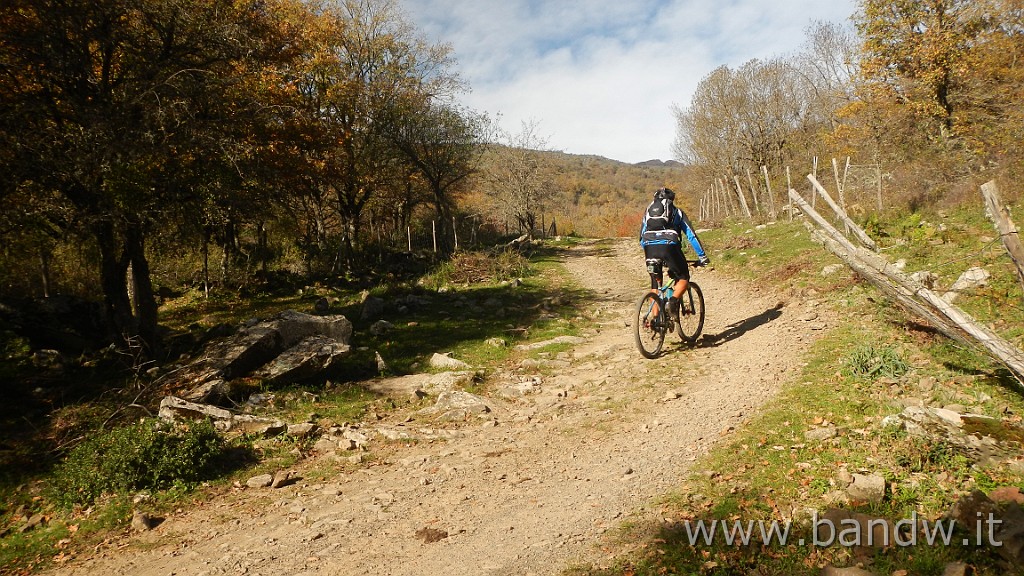 DSCN4140.JPG - Nebrodi - Exploring d'autunno