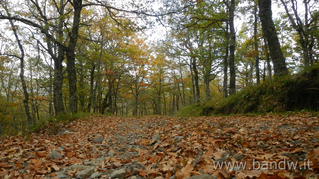 DSCN4149.JPG - Nebrodi - Exploring d'autunno