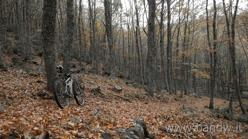 DSCN4158.JPG - Nebrodi - Exploring d'autunno