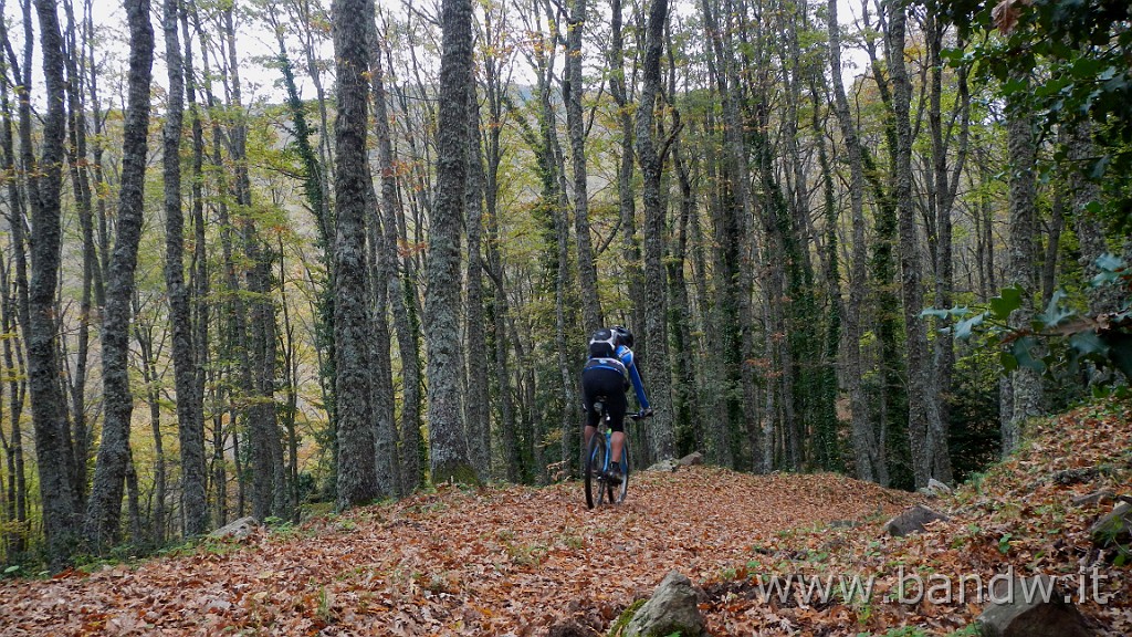 DSCN4160.JPG - Nebrodi - Exploring d'autunno