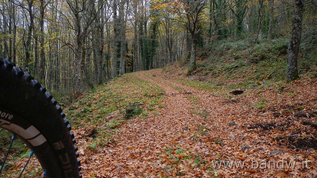 DSCN4162.JPG - Nebrodi - Exploring d'autunno