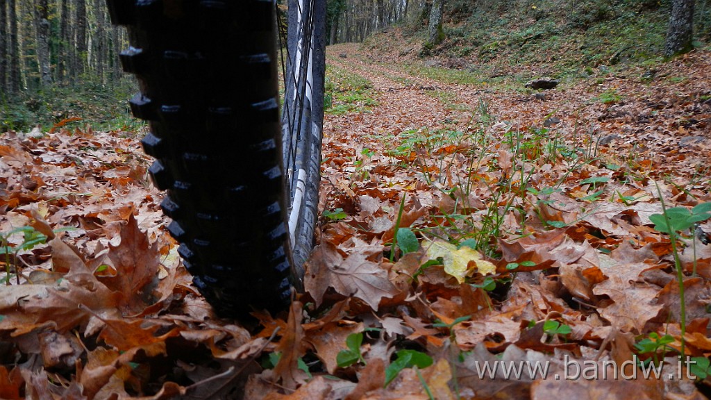 DSCN4163.JPG - Nebrodi - Exploring d'autunno