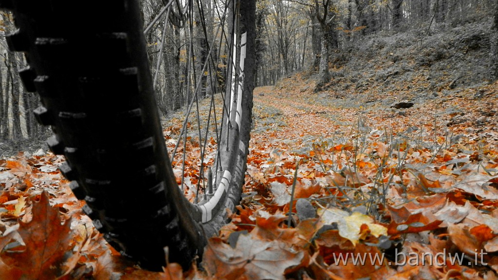 DSCN4164.JPG - Nebrodi - Exploring d'autunno