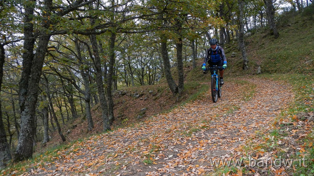 DSCN4167.JPG - Nebrodi - Exploring d'autunno