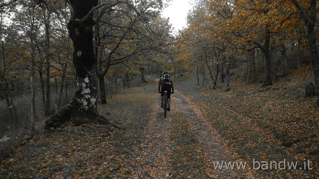 DSCN4168.JPG - Nebrodi - Exploring d'autunno