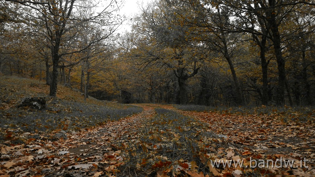 DSCN4169.JPG - Nebrodi - Exploring d'autunno