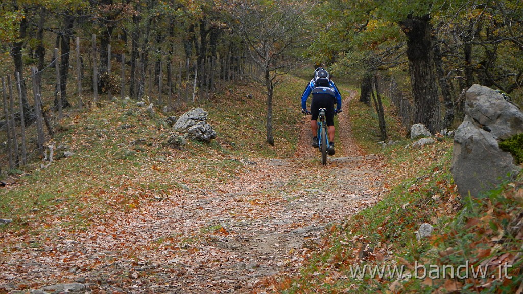 DSCN4171.JPG - Nebrodi - Exploring d'autunno