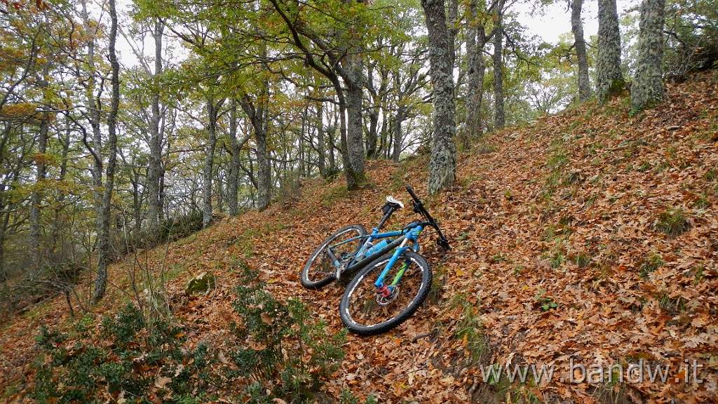 DSCN4172.JPG - Nebrodi - Exploring d'autunno