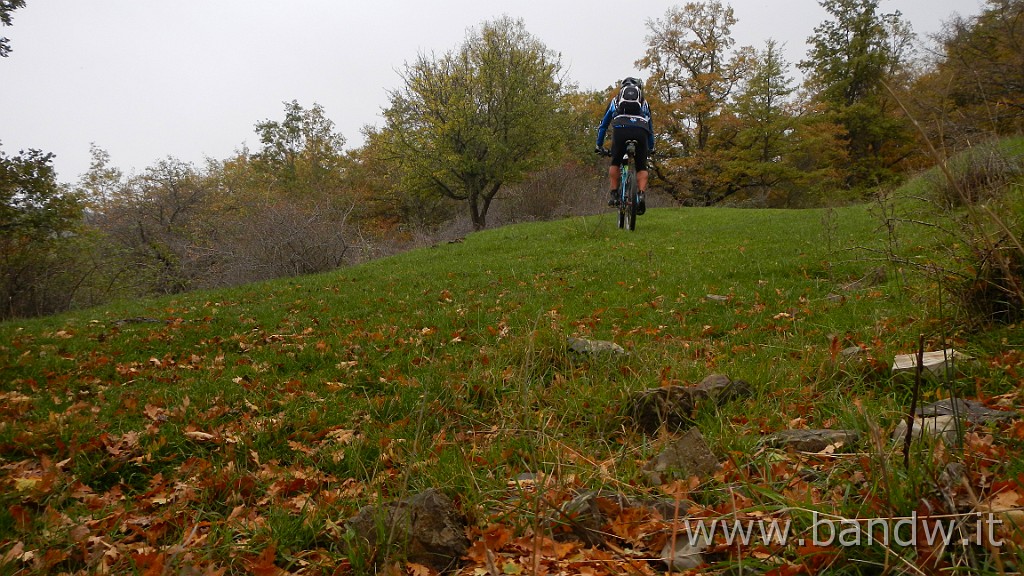 DSCN4174.JPG - Nebrodi - Exploring d'autunno