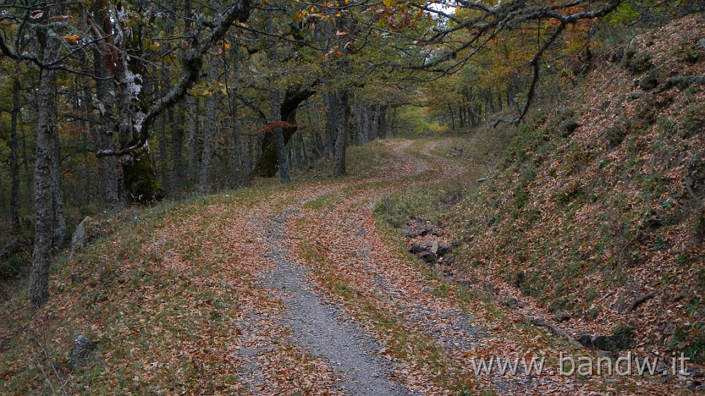 DSCN4175.JPG - Nebrodi - Exploring d'autunno