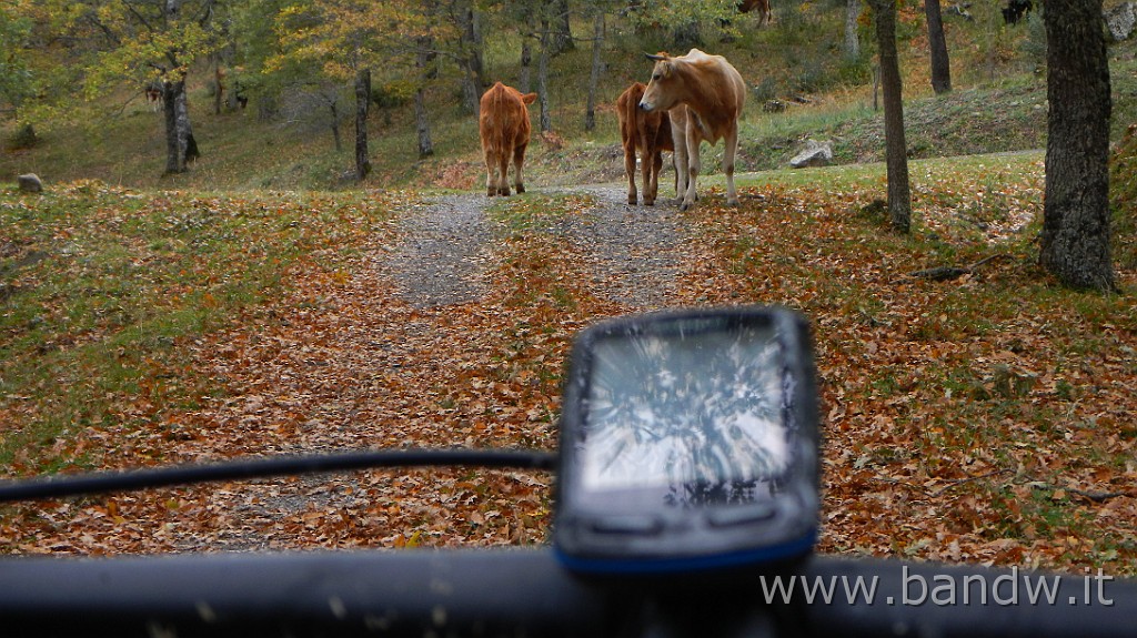 DSCN4177.JPG - Nebrodi - Exploring d'autunno