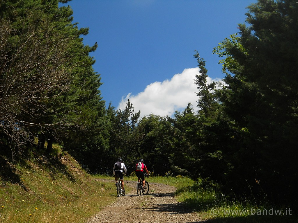 DSCN5126.jpg