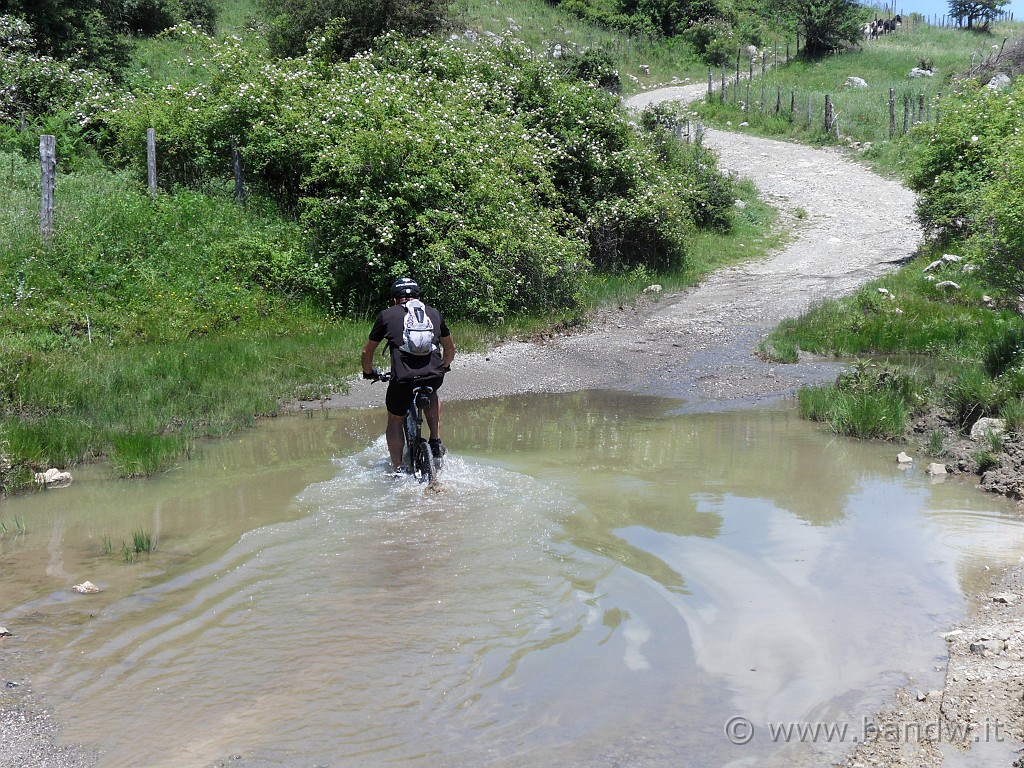 SDC15153.jpg