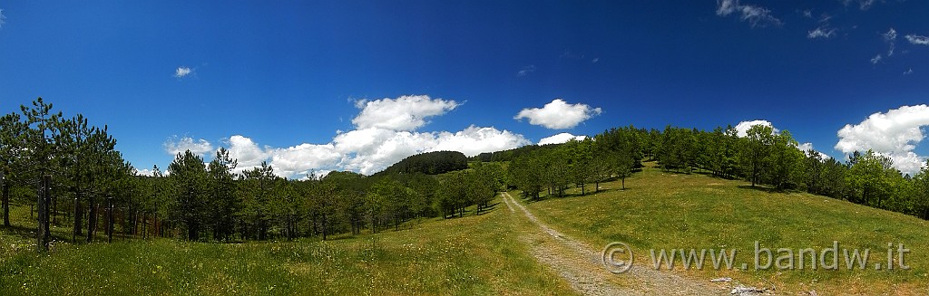 DSCN9678.jpg