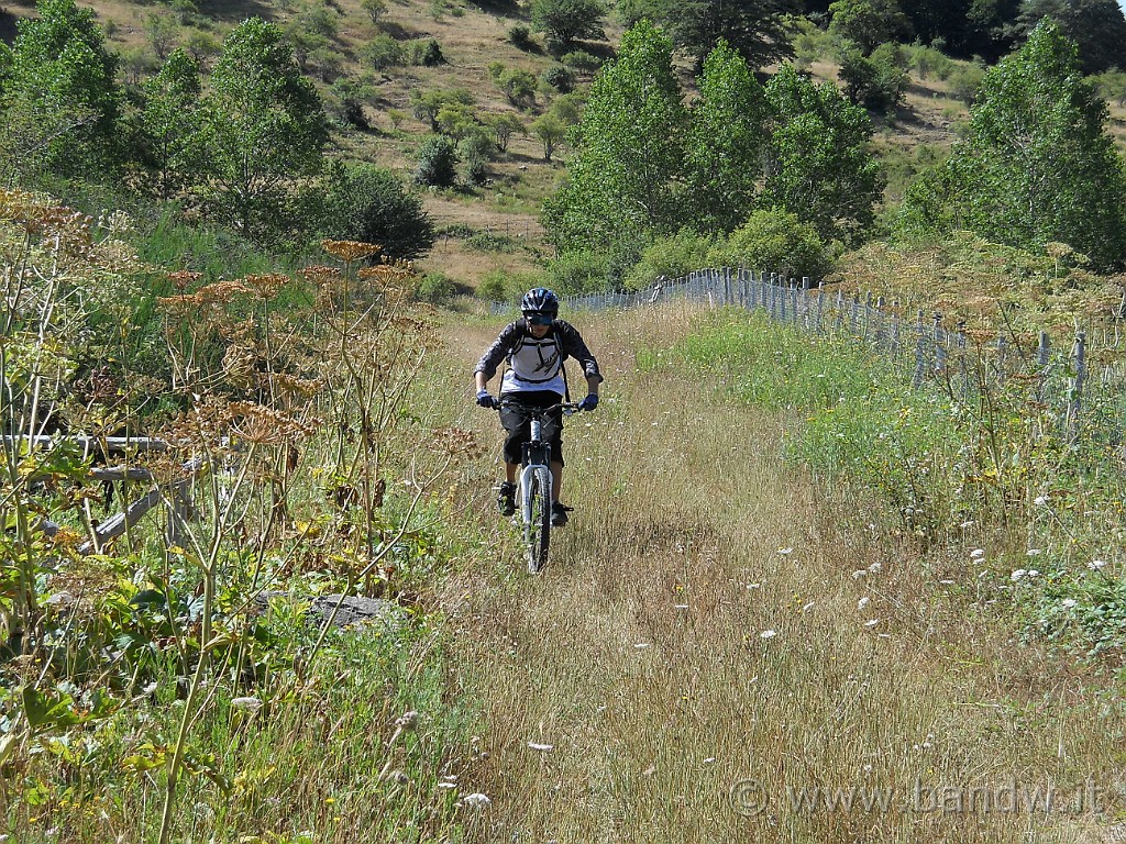 DSCN0040.JPG - Si pedala attorno al lago Cartolari