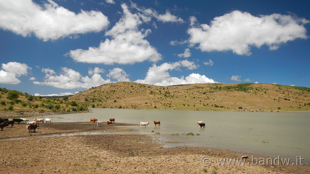 DSCN1352.JPG - Nebrodi - Lago Trearie, Piano di Palma, Lago Cartolari