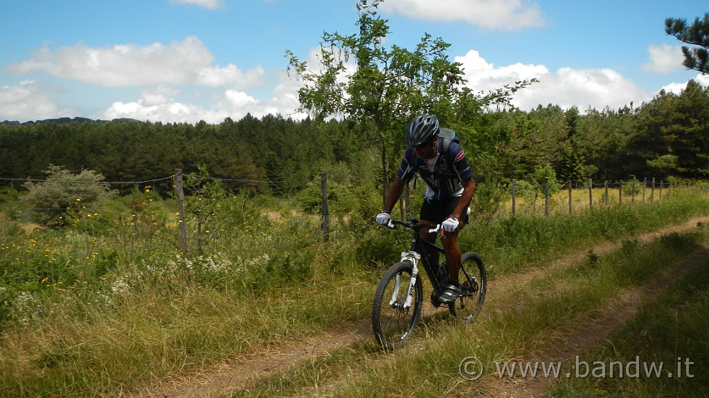 DSCN1379.jpg