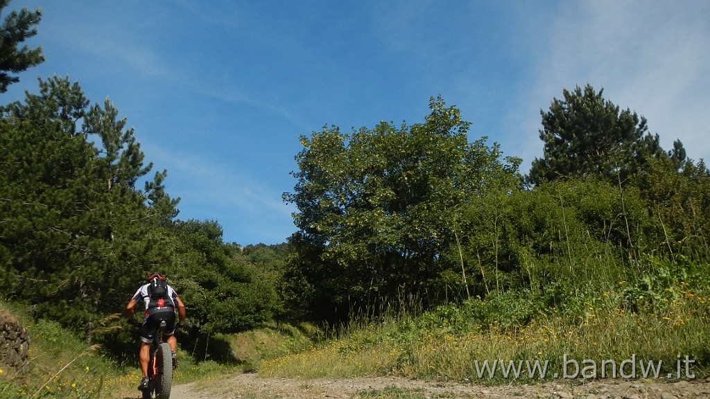 DSCN7267.JPG - Monte Colla New Trail